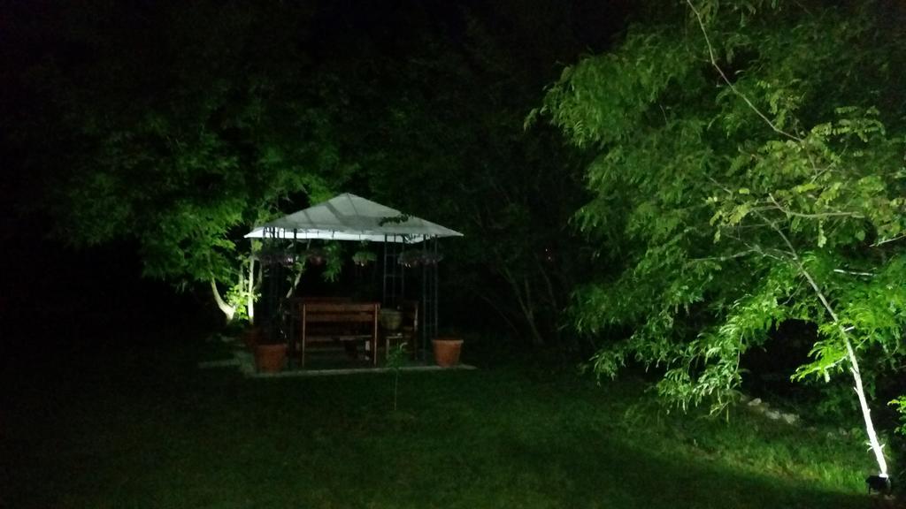 Vila Dincic Veliko Gradiste Luaran gambar
