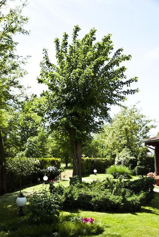 Vila Dincic Veliko Gradiste Luaran gambar